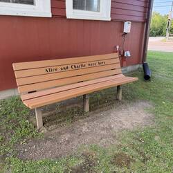 Bench dedicated to characters from One Golden Summer by Carley Fortune