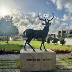 Der Hirschkönig von Vila Nova de Cerveira