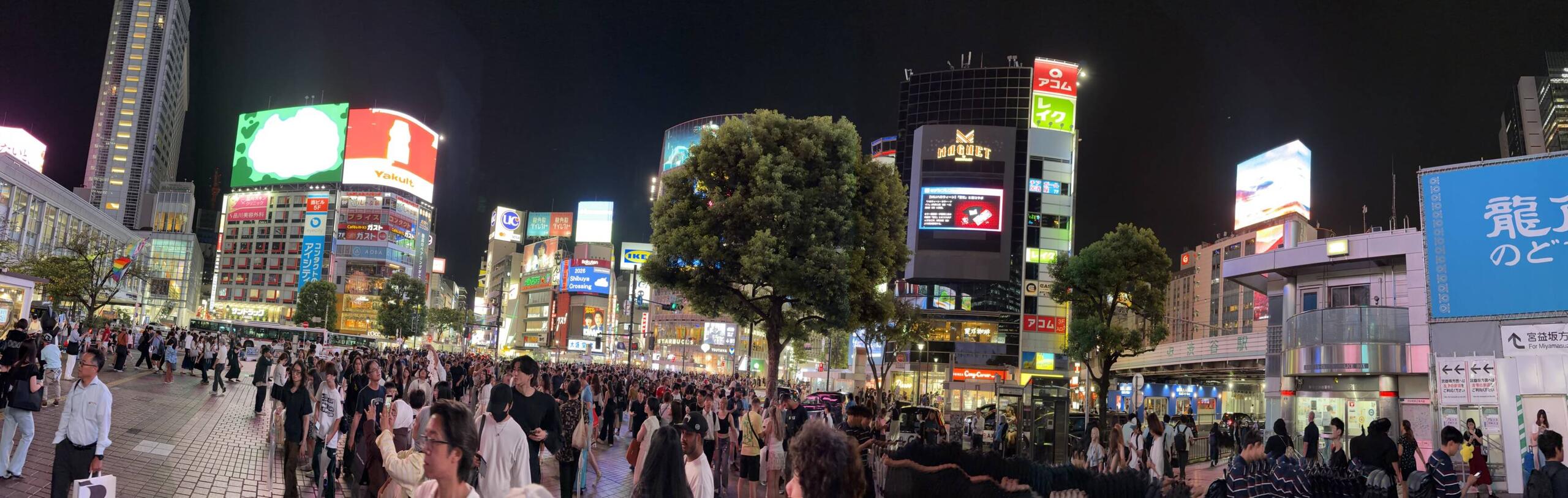 Shibuya Station Crossing