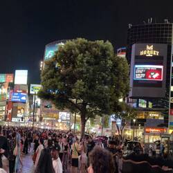 Shibuya Station Crossing