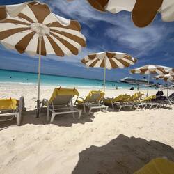 Half Moon Cay Mango Stop