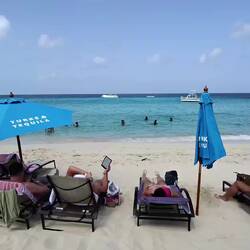 Jacks Shack. Pre order your lounger for 1st row views