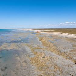 Cape Keraudren bei Ebbe