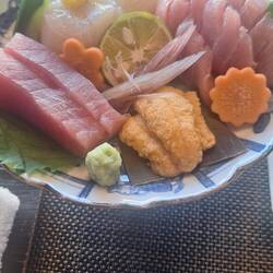 Sashimi