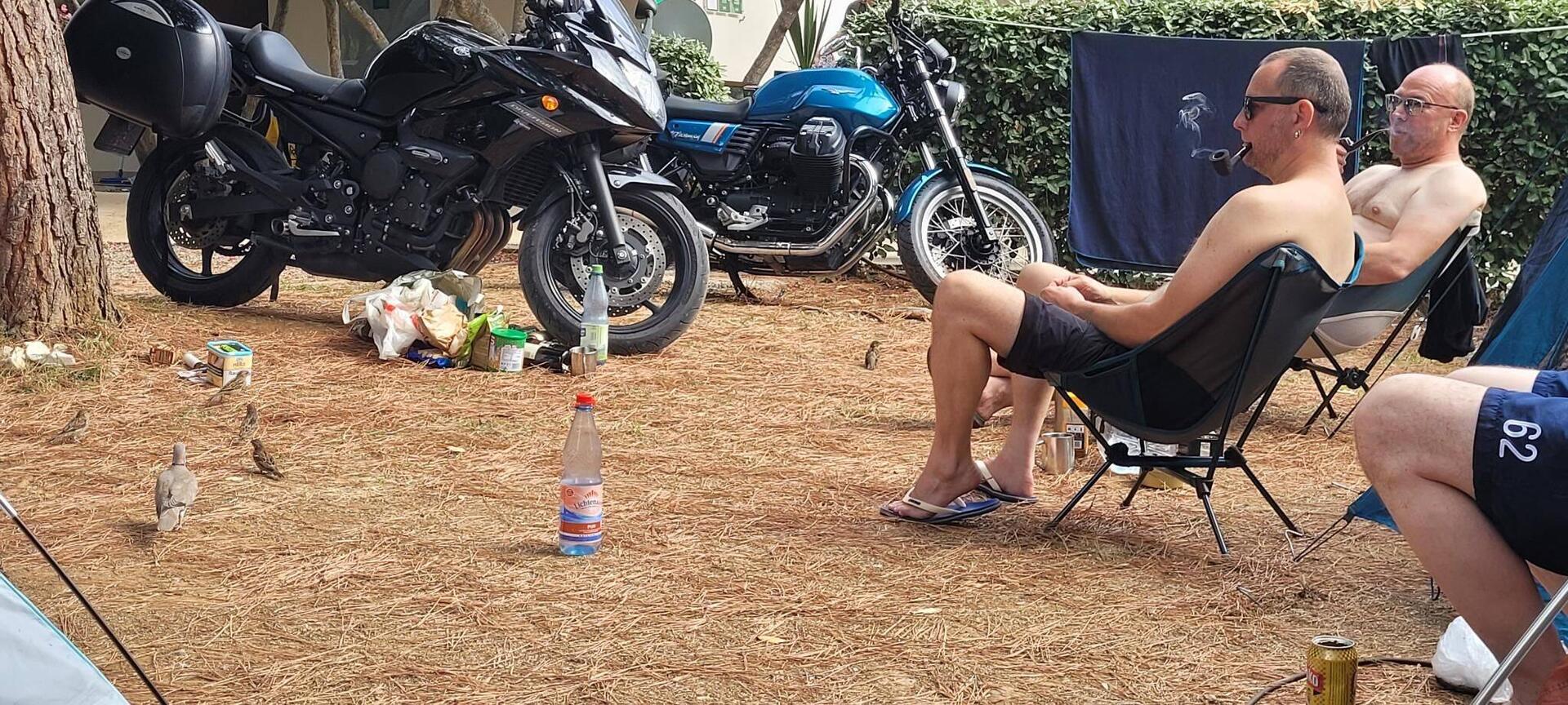 Morgendliche Fütterung