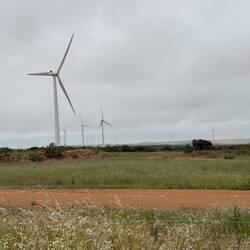 Wind farm