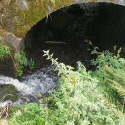 Nicht viel los am Bach
