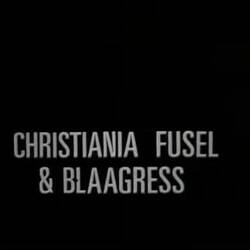 norwegische Bluegrass- und Folkband