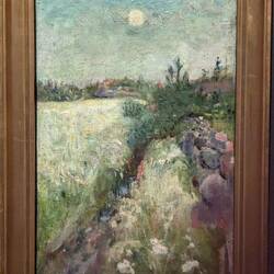 Blühende Wiese in Veierland (Munch)