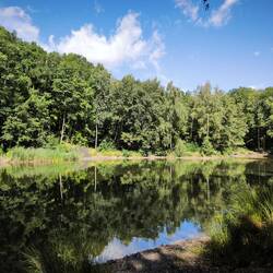 Waldteich