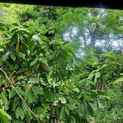 Ausblick von Claras "Veranda"