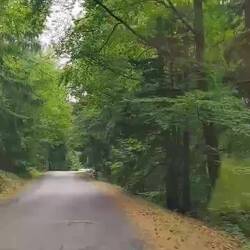 Wo man alles so langfährt wenn man die Mautstraßen umfahren will 🫣🤭
