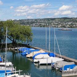 Yachthafen am Zürichsee
