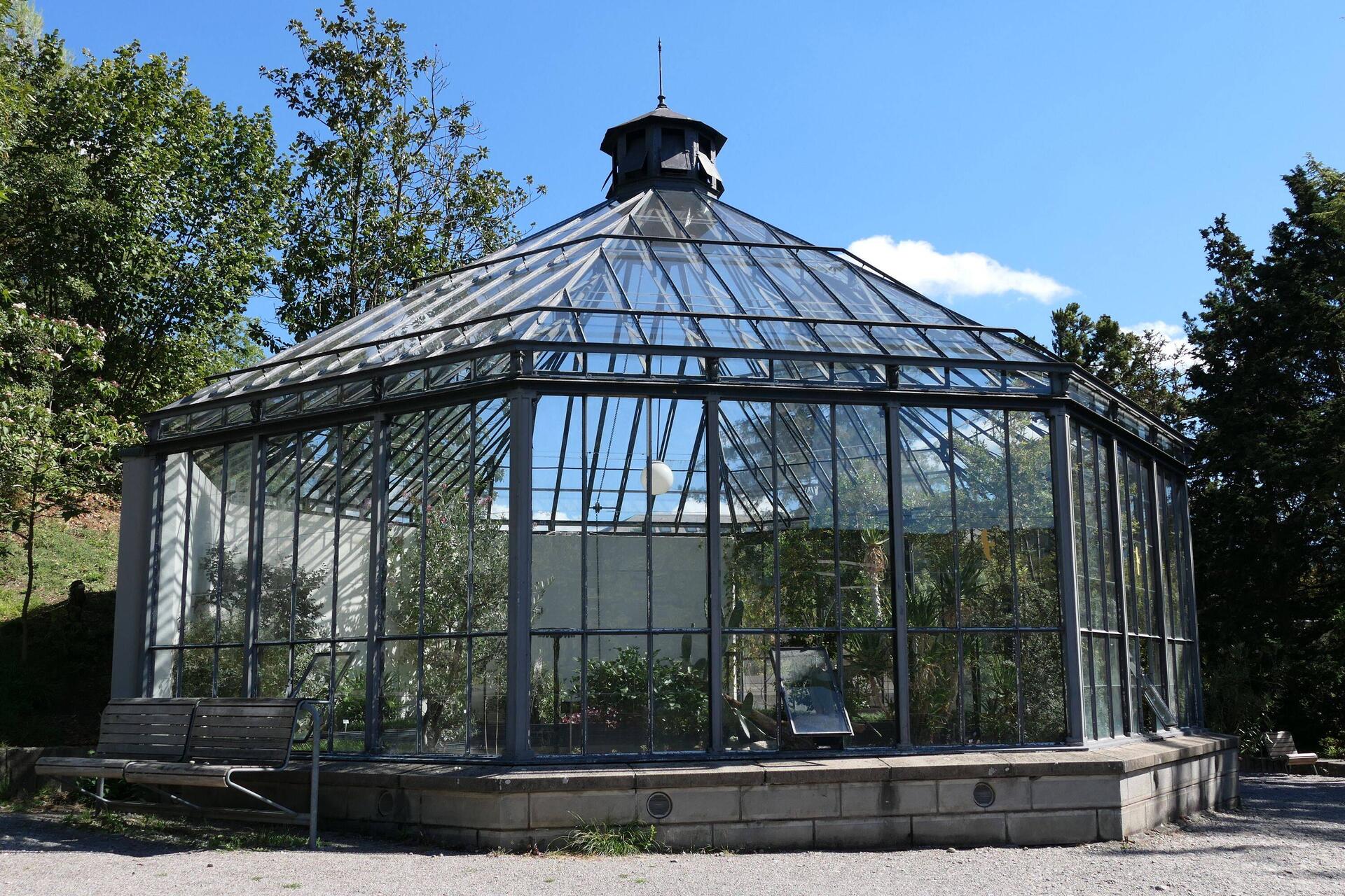 Alter Botanischer Garten