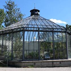 Alter Botanischer Garten
