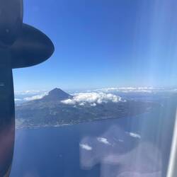 Pico