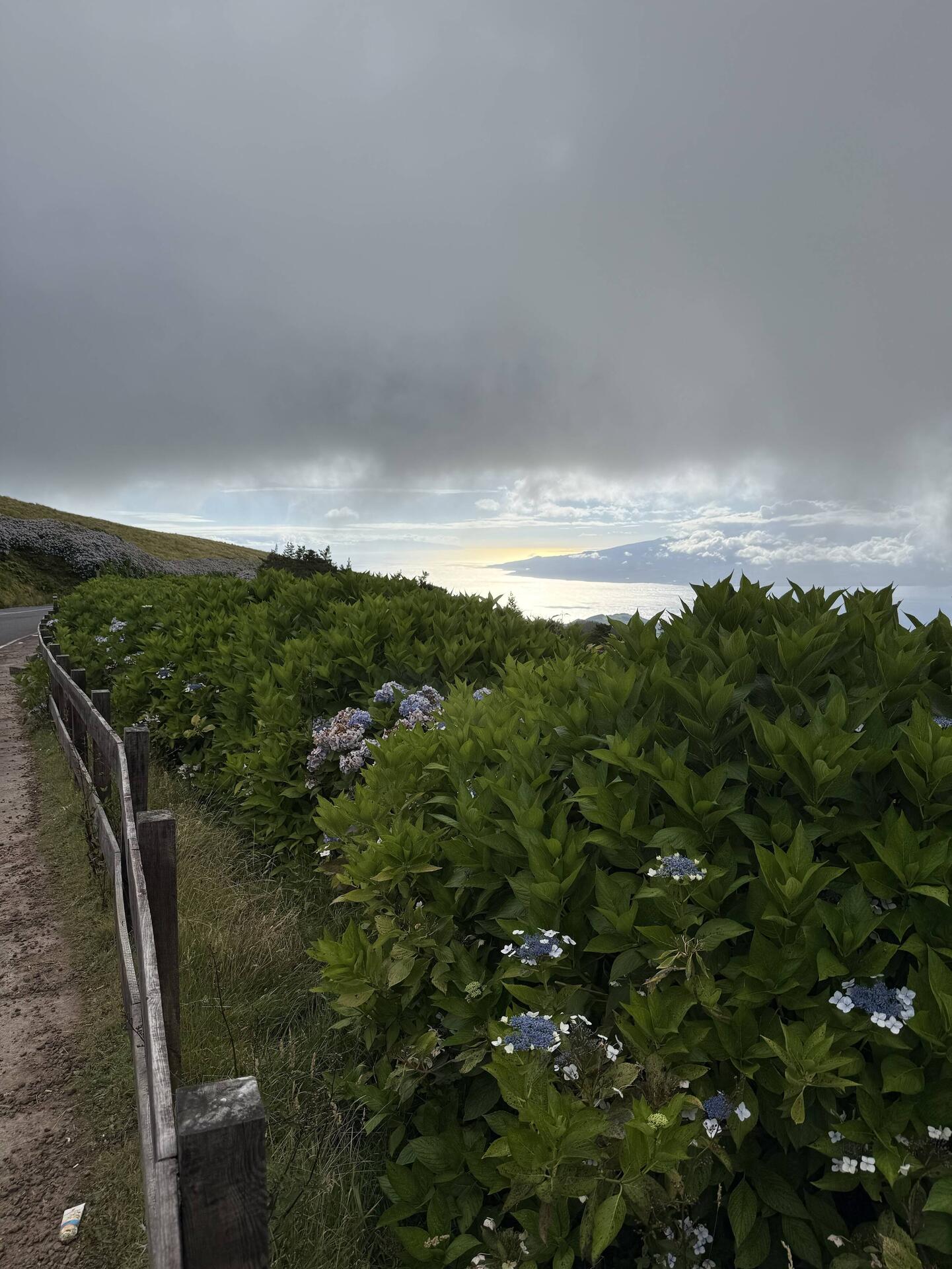 Blick nach Pico von der Caldeira von Faial
