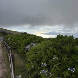 Blick nach Pico von der Caldeira von Faial