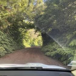 Fahrt von der Caldeira nach Salão