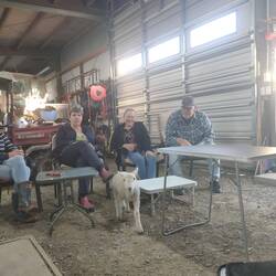 Happy hour in the shed