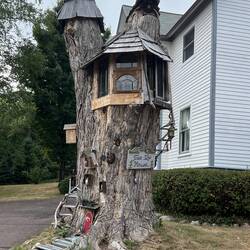 Tree Top House. At a private Bayfield residence.