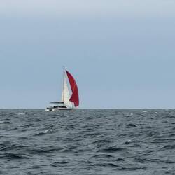 And go past. Genoa and Genaker. Photo: Vanuily.