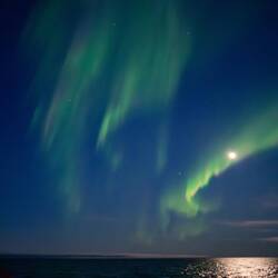 Northern lights!