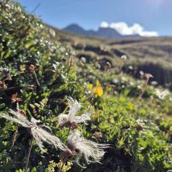 Natur 😍