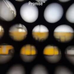 Pulse of Promise