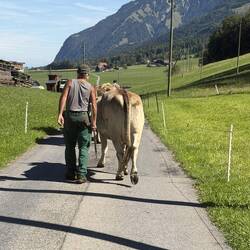 Wanderwegstau...