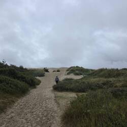eine 40 Meter hohen Wanderdüne im Landesinneren haben wir auch noch erklommen