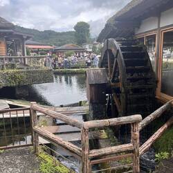 Oshino hakkai