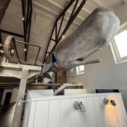 Museu da Fábrica da Baleia de Porto Pim
