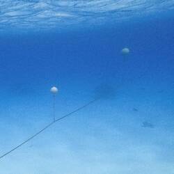 durch das Gewicht der 12 mm Kette werden die Kugeln bei uns ein Stück unter Wasser gezogen