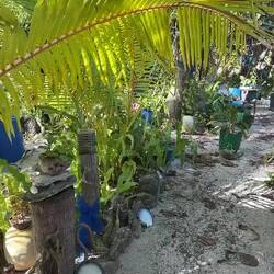 Garten von Hubert, dem Einsiedler