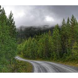 Dann geht's 14km auf einer Schotterpiste immer Bergauf.....
