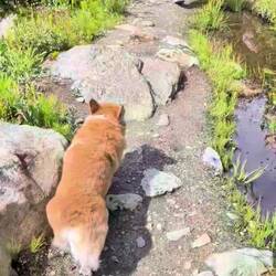 @Nelly ab und an ist wandern doch okay 😅😉😘.