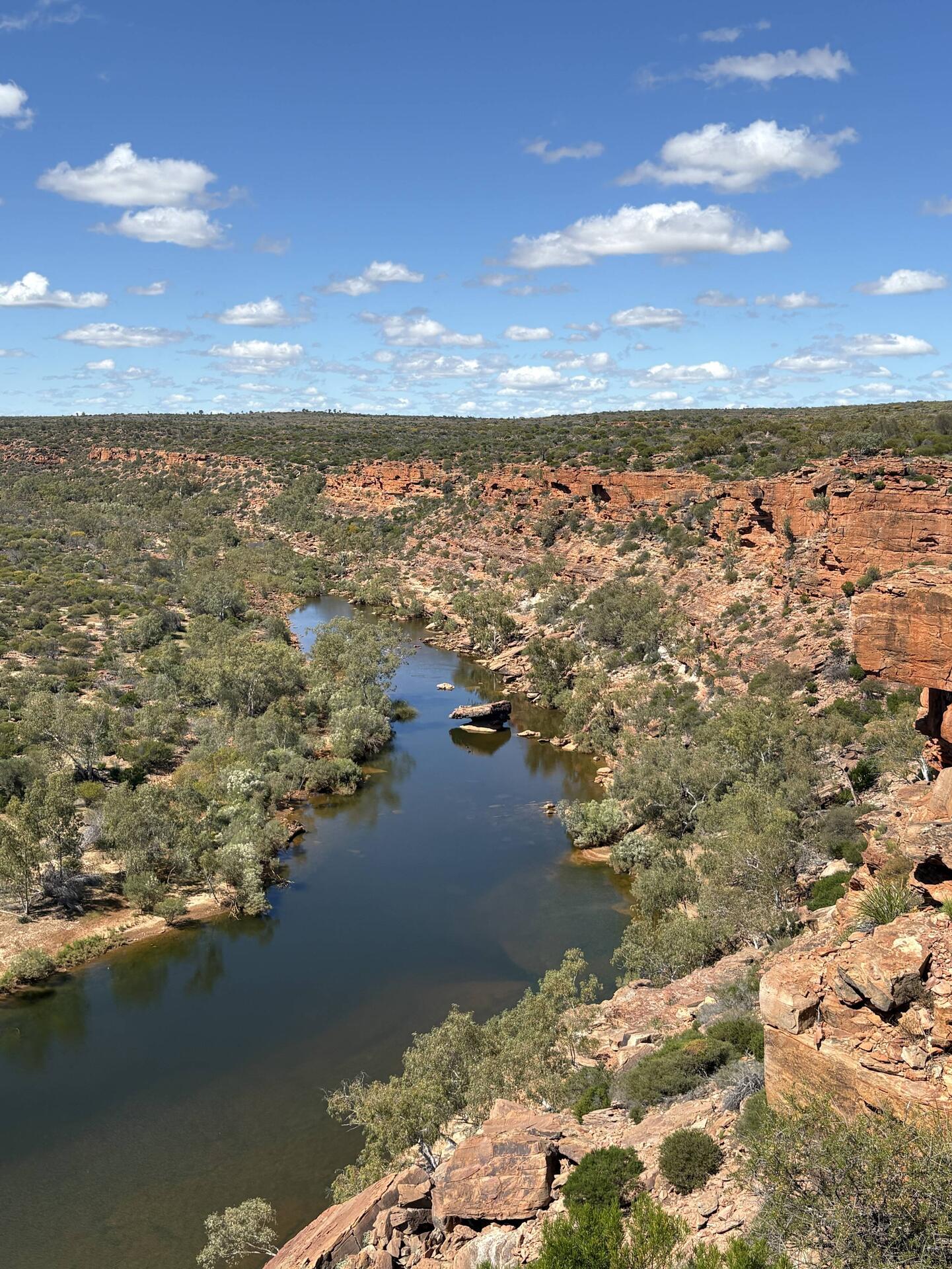 Hawks Head Lookout