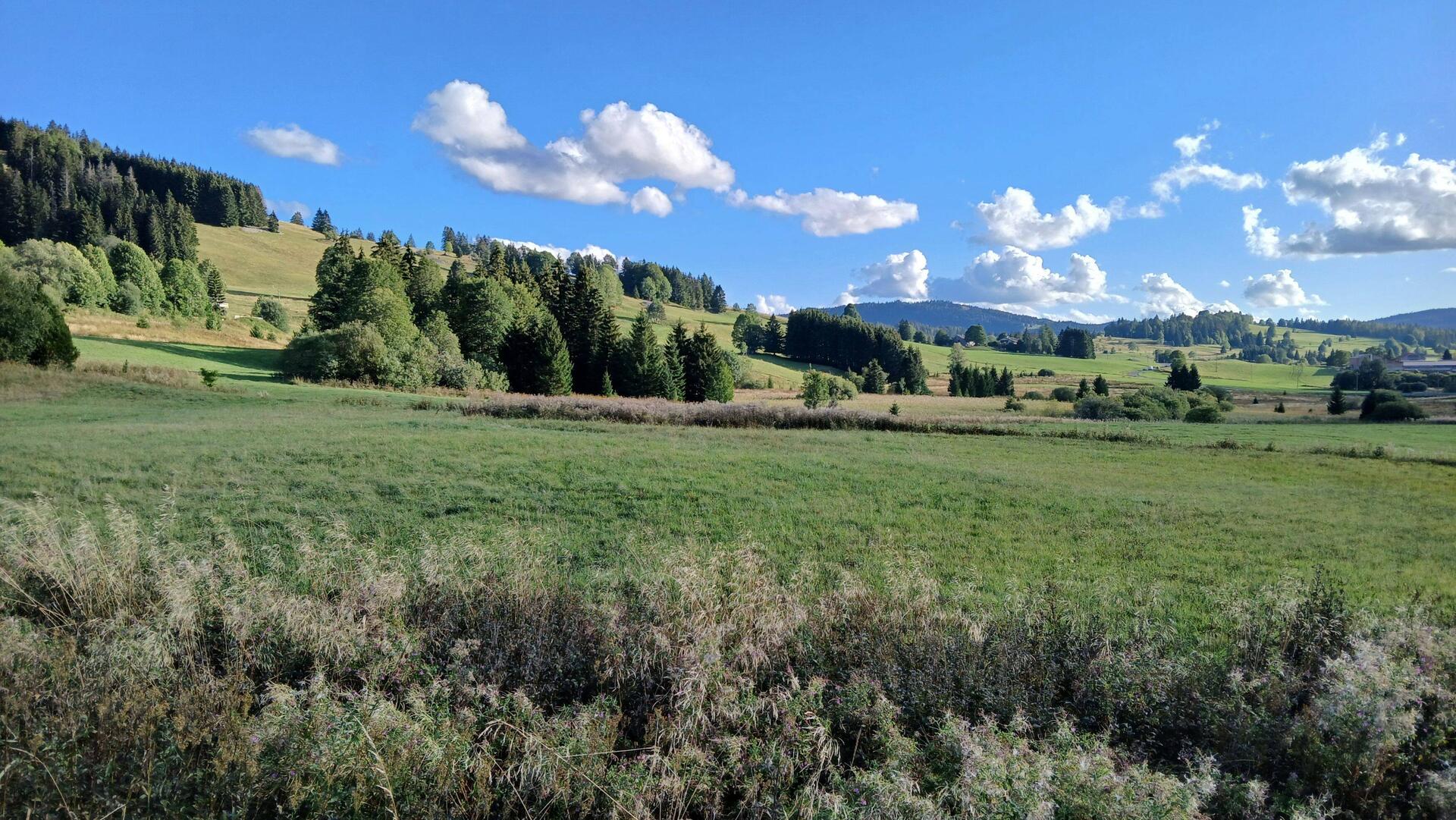 Typisk landskab i Jura