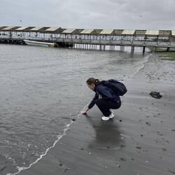 Pazifik nur berührt weils zu kühl zum schwimmen war🥲