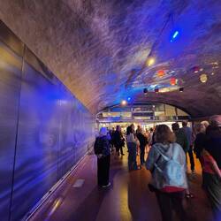 Balls and lights reflect on the walls, like a disco