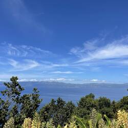 Blick auf die Insel São Jorge