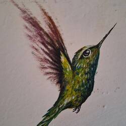 Handgemalter Kolibri an unserer Hostel- Zimmerwand