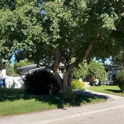 Impressionen aus Calgary