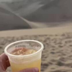 Wieder mal extrem starker Pisco🥵