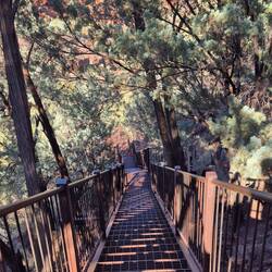 Dales Gorge - Abstieg 😆