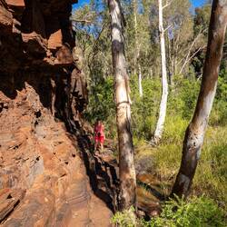 Unterwegs in der Dales Gorge