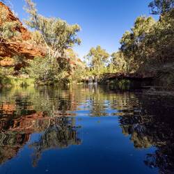 Fern Pool