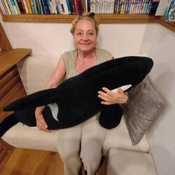 Jetzt haben wir doch noch einen Orca gesichtet!
