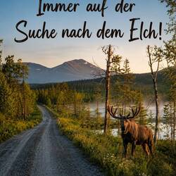 So hatten wir uns das eigentlich vorgestellt